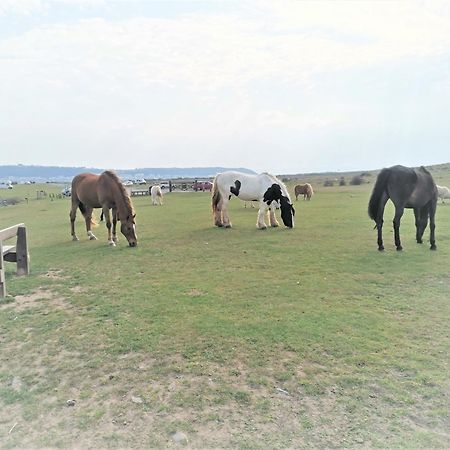 Greenways Valley Holiday Park Great Torrington Exterior foto